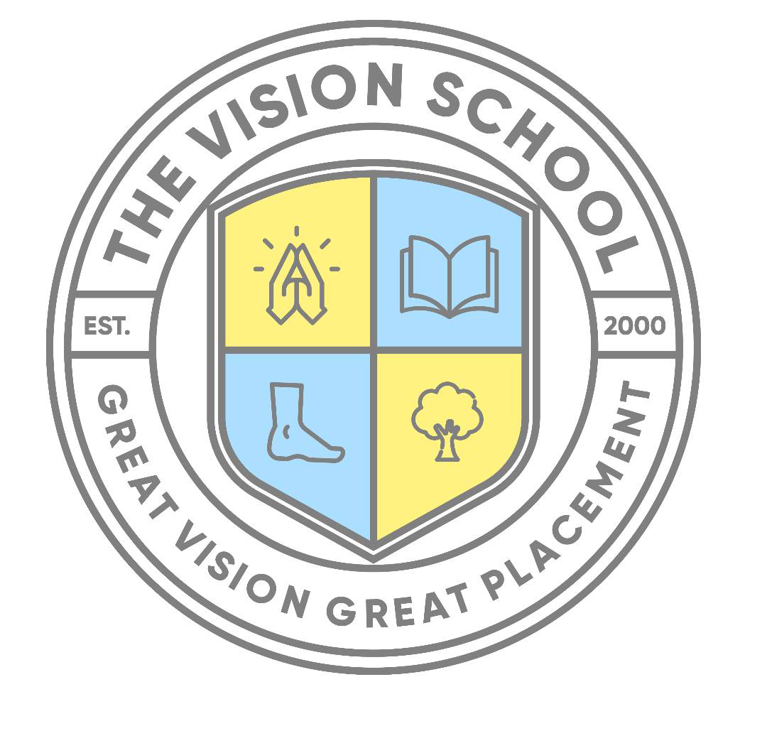 THE VISION SCHOOL